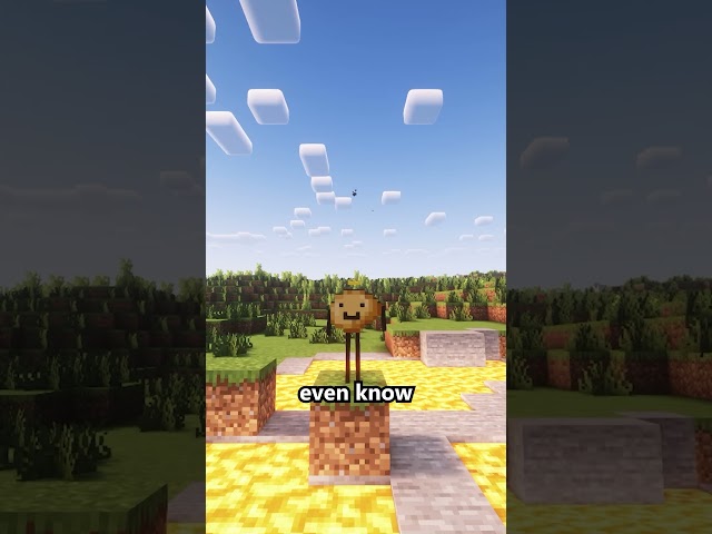 Super realistic water in Minecraft π.