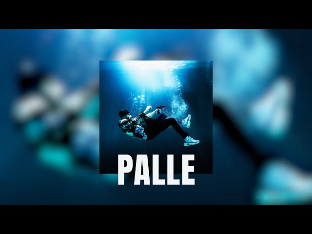 Musso - PALLE (Album Visualizer)