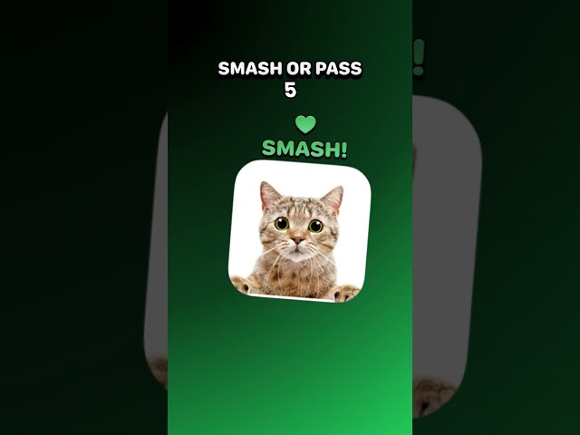 cat short