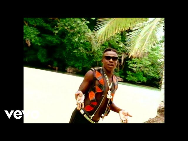 Mad Cobra - Flex (Official Video)