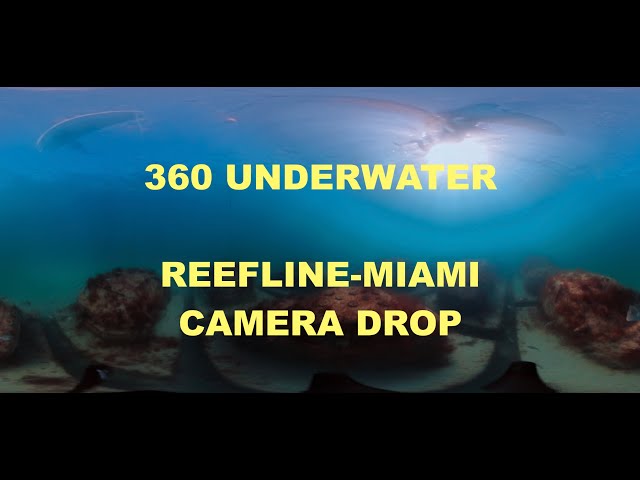 360 CAMERA DROP on the REEFLINE in SOUTH BEACH, MIAMI!  PART 2
