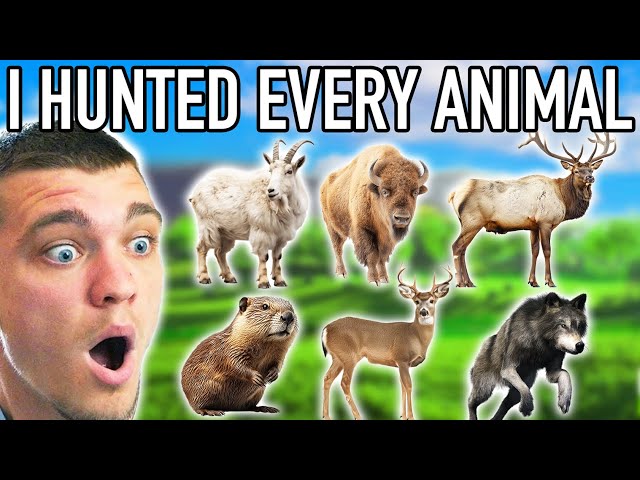 I Hunted Every Animal on Askiy Ridge!