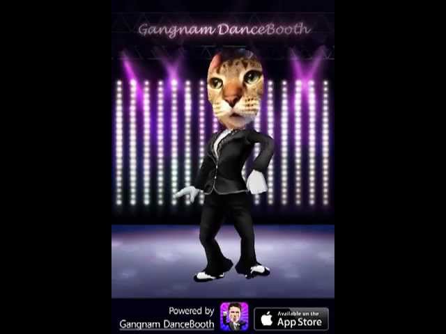 Gangnam Kitty-Style
