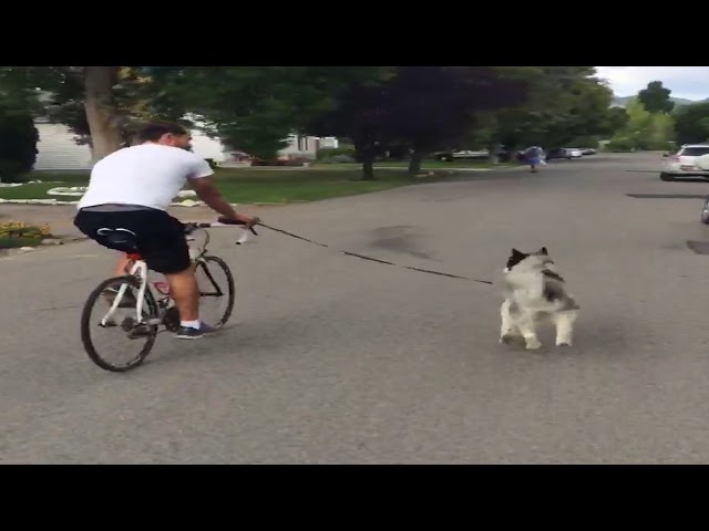 Chris & Sasha out for. bikeride with Kyle!
