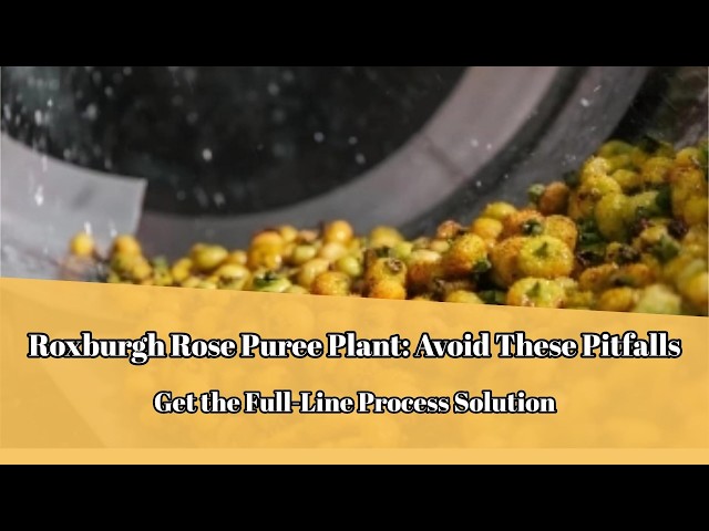 China’s Superfruit - Roxburgh Rose Puree Processing Line | Shanghai Chase