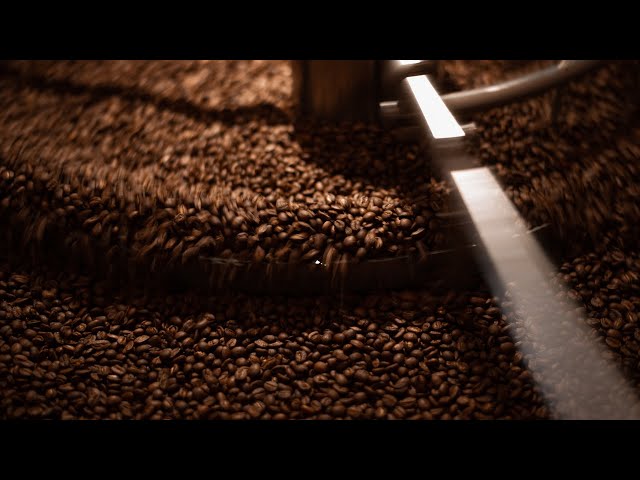 Barista Workshop with Moon Roast, Hampshire