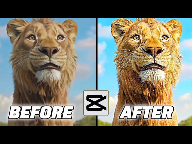 Best HDR CC Settings in CapCut | 4K Quality Tutorial