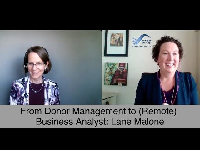 From Donor Management to (Remote) Business Analyst: Lane Malone