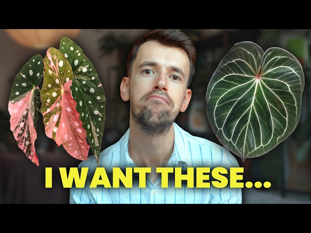 10 Plants I'm YEARNING For... That I'm Not Gonna Buy
