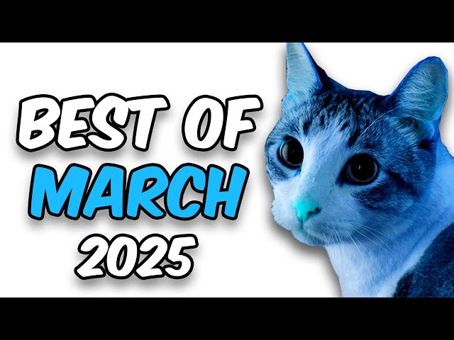 NASHIRANKS BEST OF MARCH! (2025)