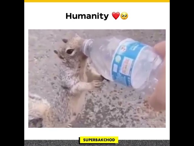 Humanity ❤ #shorts #whatsapp #status #video #