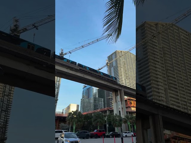 Miami Downtown Metrorail train