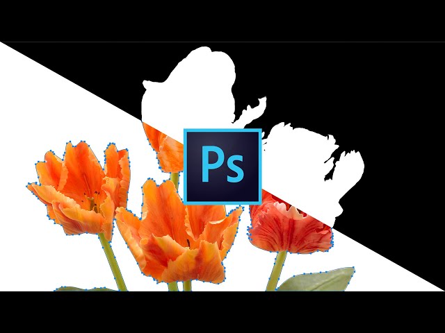 5 KILLER Photoshop Techniques!