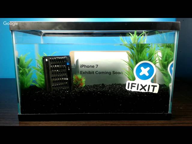 iPhone 7 Swimming Test