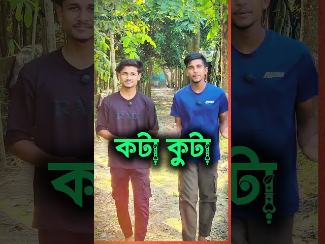 🔥  ফাটাফাটি  Tiptop Ola 😍 | Learn Stylish English Speaking Easily | Elitespeak Academy