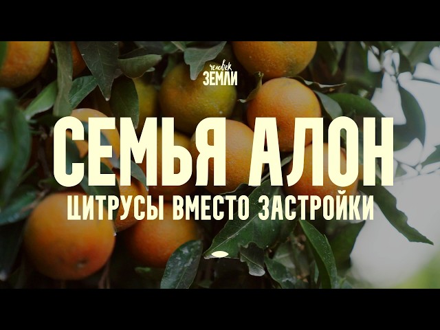 Семья Алон: цитрусы вместо застройки || Человек земли