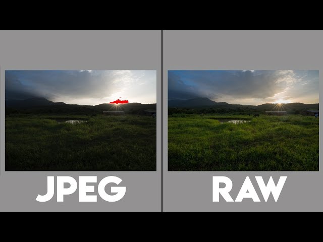 RAW vs JPEG Photography and Comparison!