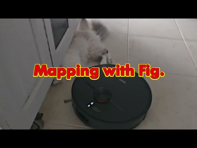 JONR X1 Max being played with by a cat. lol Very cheap toy.