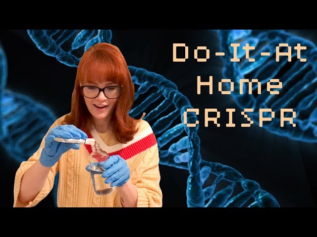 My First CRISPR Kit!