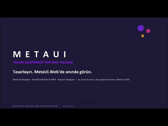 MetaUI Low Code Development Studio & Workflow-BPM & Report Designer