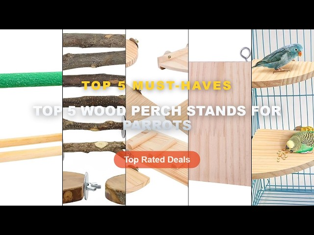 Top 5 Best Top 5 Wood Perch Stands For Parrots (Must Have!) - Parrot Bird Wood Perch Stand Platform