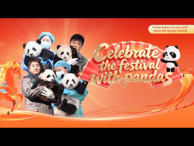 Broadcast: New Year Greeting Event From The Class Of 2025 Panda Cubs | iPanda