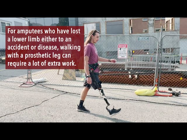 Exoskeleton