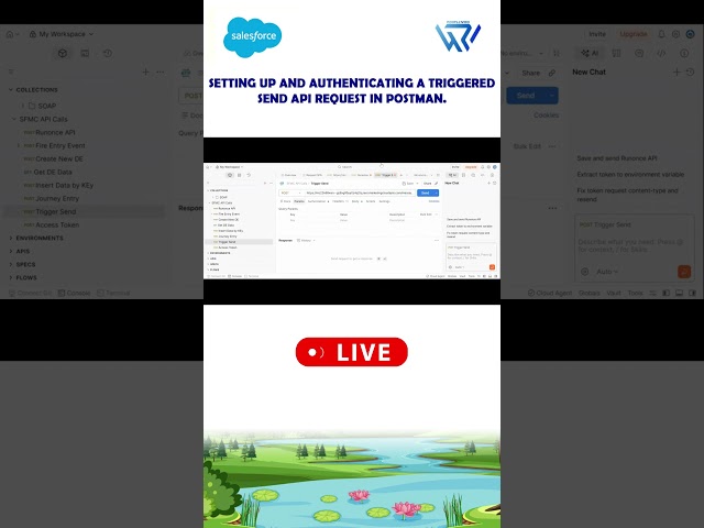 How to Set Up & Authenticate a Triggered Send API Request in Postman | Salesforce Marketing Cloud