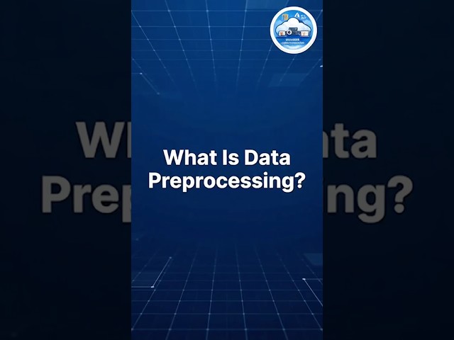 What Is Data Preprocessing?
