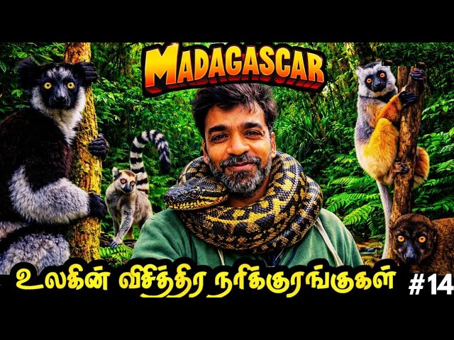 🐒Worlds Rarest Monkey LEMURS பாத்துட்டோம்👍| 🇲🇬Madagascar Ep14