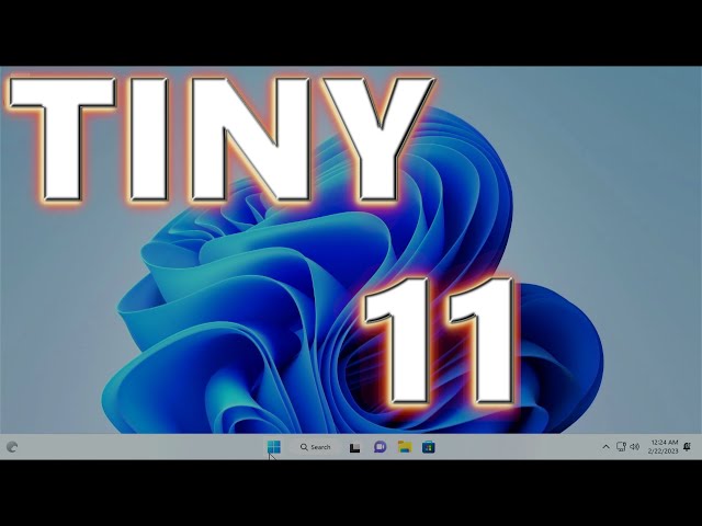 Tiny 11 Worth It?  - A Quick Look