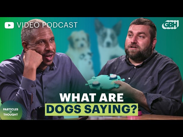 Interview: What Are Dogs Saying? with Federico Rossano | Particles of Thought