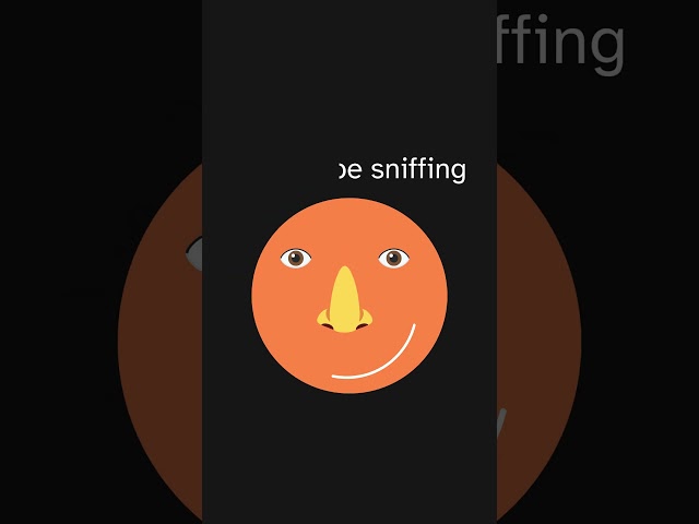Understanding MIME Sniffing - Securing Your JS Files 🛡️👮🛡️ #javascript #security #hacker