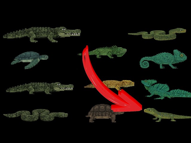Reptiles - Snakes, Lizards, Crocodilians & Turtles | Minecraft @TheKidsPictureShow