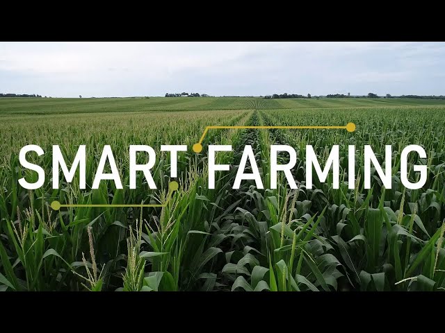 Smart Farming: Explore the Future of Technology and Innovation on the Farm