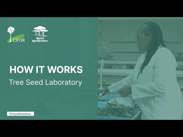 CIFOR-ICRAF tree seed lab promotes sustainable agroforestry