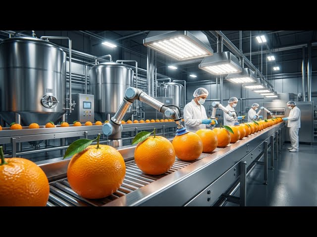 Inside Orange Juice Factory 🍊 | From Fresh Oranges to Juice