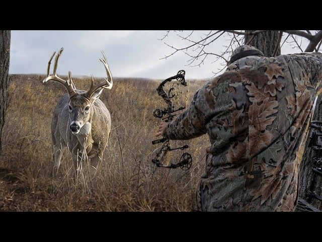 Our Best Hunts and BIGGEST Bucks on Texas Public Land!