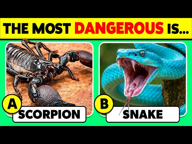 How Well Do You Know Animals? 🦂🐍😱 50 Fun Animal Trivia Questions