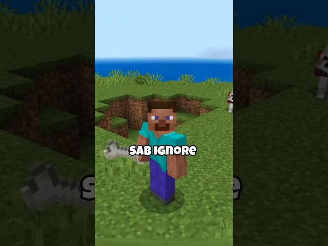 Minecraft op item (not milk bucket)