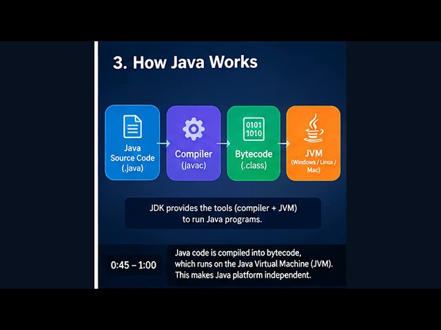 Java Programming Fundamentals 