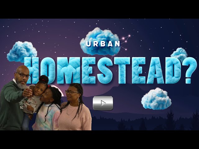 Urban Homesteaders