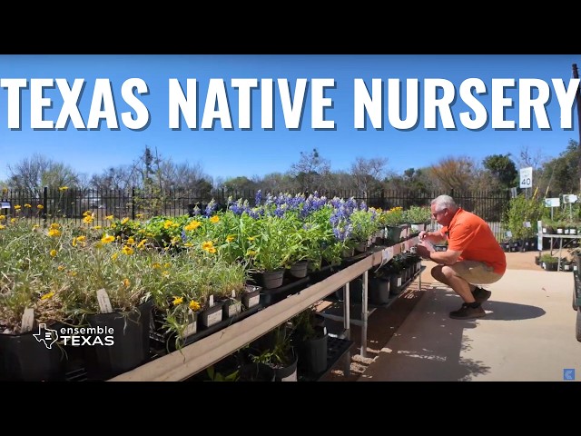 This Nursery Has the Best Native Plant Selection in Texas