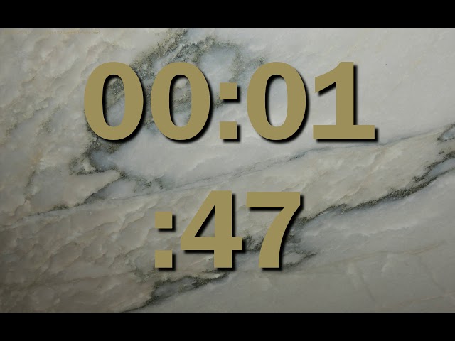 Count-up Stopwatch Timer 5 minutes, show seconds, speak count every 5 seconds