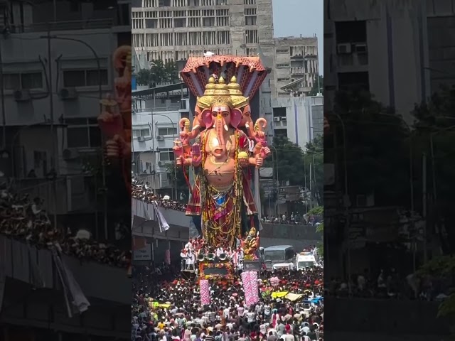 Khairatabad Ganesh 2025 | Khairatabad Ganesh 2025 Nimajjanam | #shorts #khairatabadganesh2025