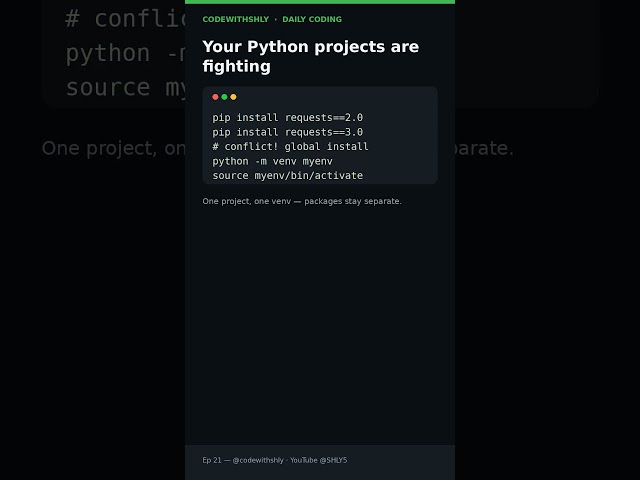 Your Python projects are fighting #Shorts