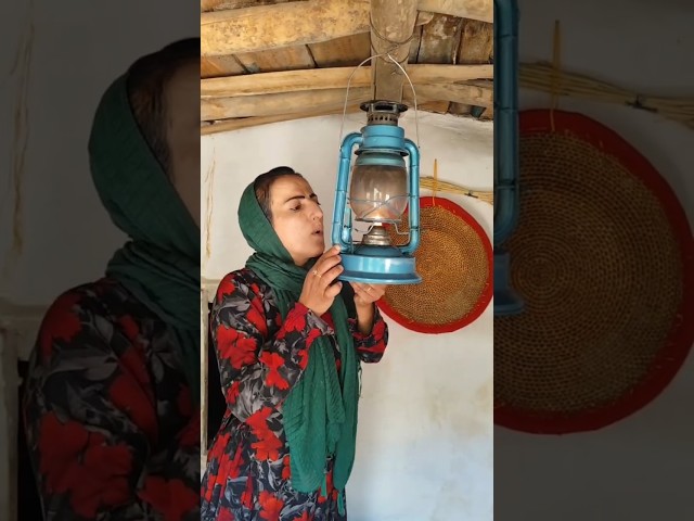 Nahid Starts a Garden by Her Cabin