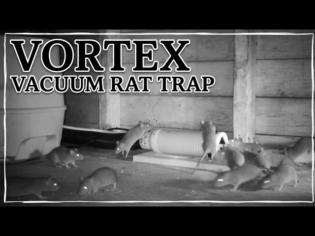 Vacuum Rat Trap Knockoff Tested on a Massive Rat Infestation! Sucking Up Rat After Rat!
