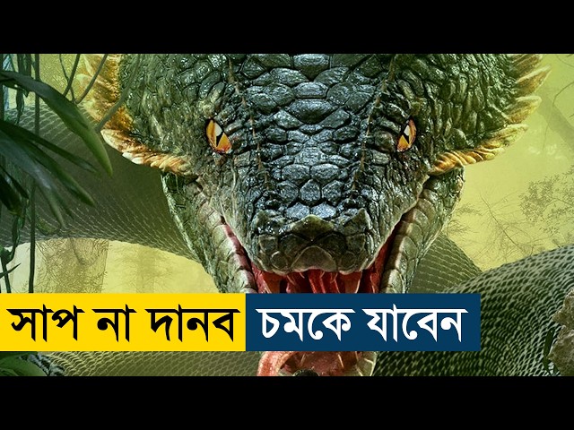 Island Python (2025) Movie Explained | English Subtitle Added