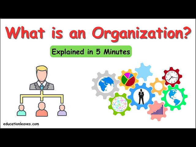 What is an Organization? | Elements, Process, importance of Organization